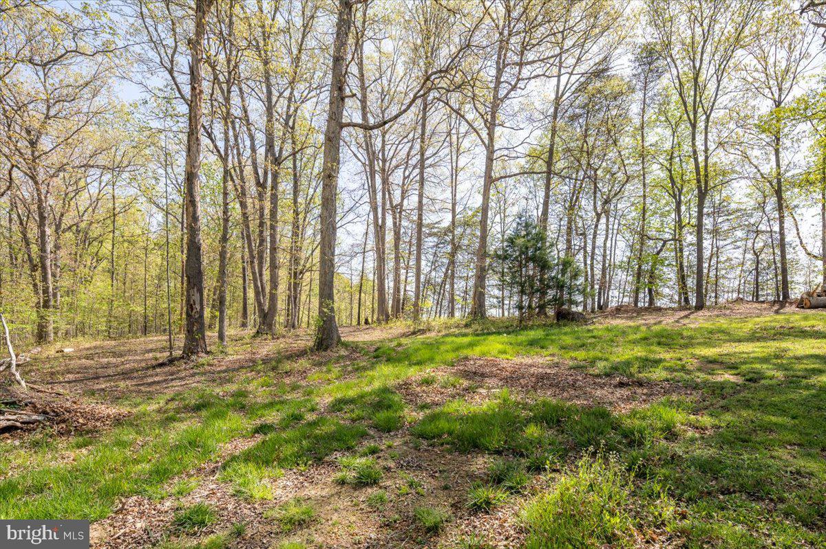 9461 Jamesons Mill Road Culpeper, VA 22701 - Photo 36 of 45