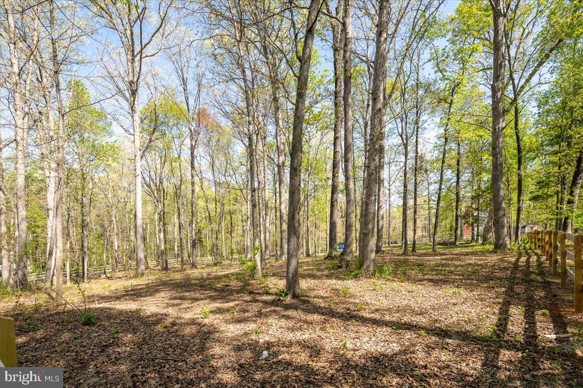 9461 Jamesons Mill Road Culpeper, VA 22701 - Photo 41 of 45