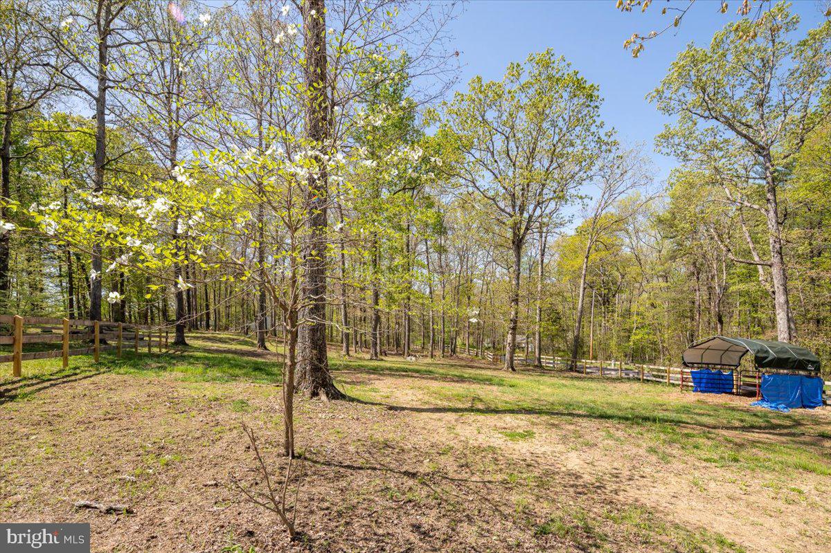 9461 Jamesons Mill Road Culpeper, VA 22701 - Photo 43 of 45