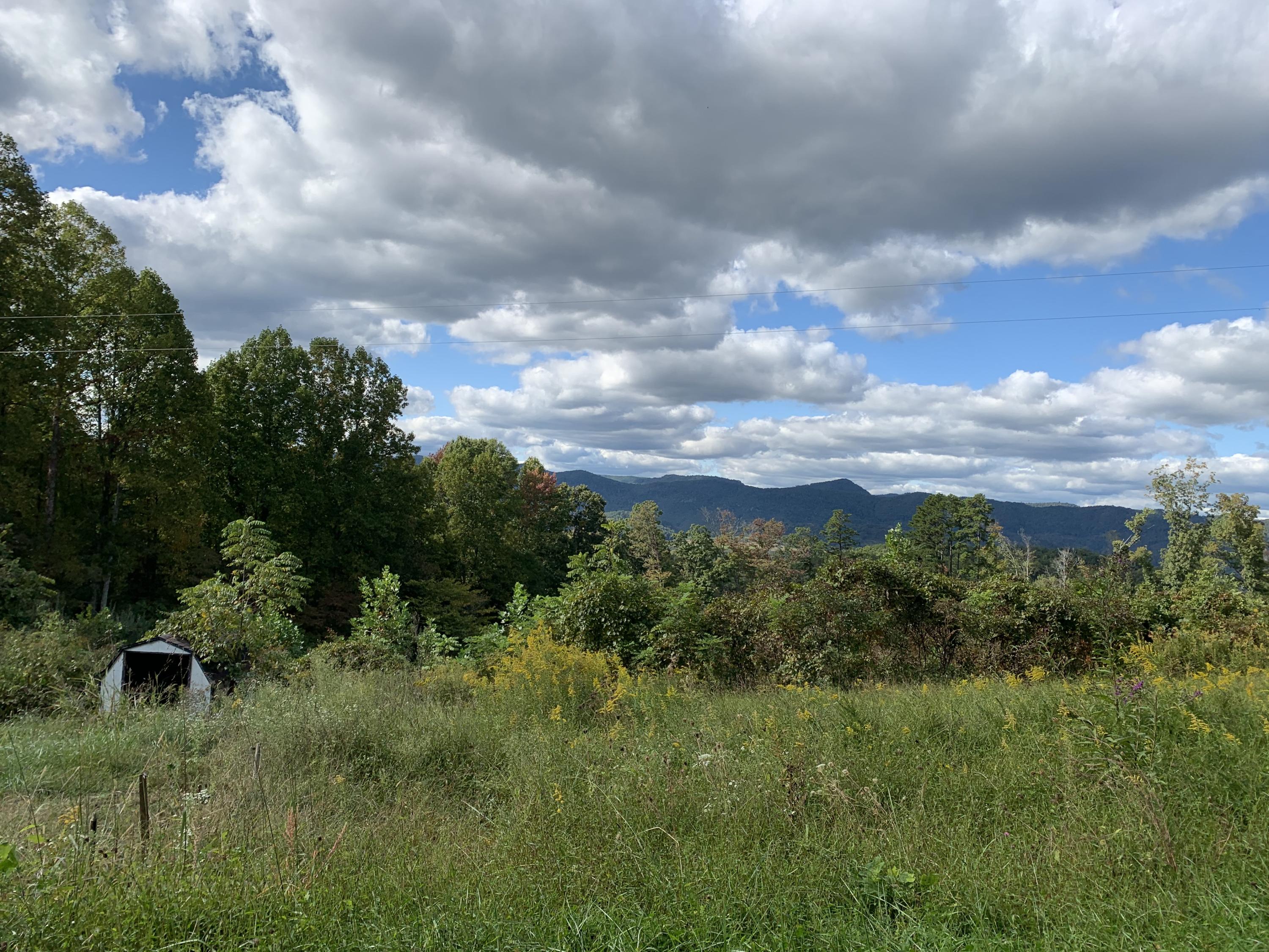 444 Evans Ridge Road Speedwell, TN 37870 - Photo 6 of 10 IMG_4366