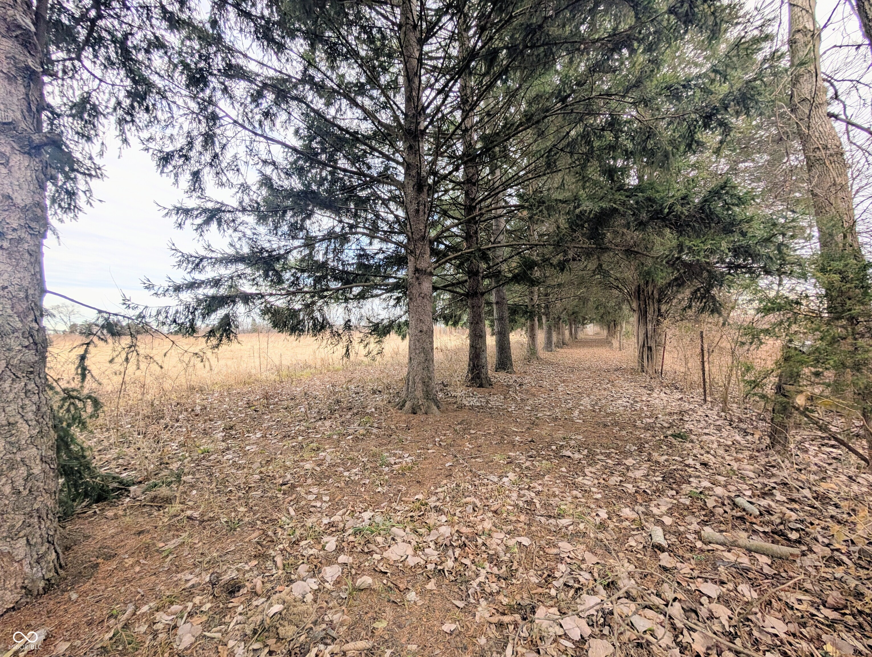 5599 Highway 9 Hope, IN 47246 - Photo 67 of 72
