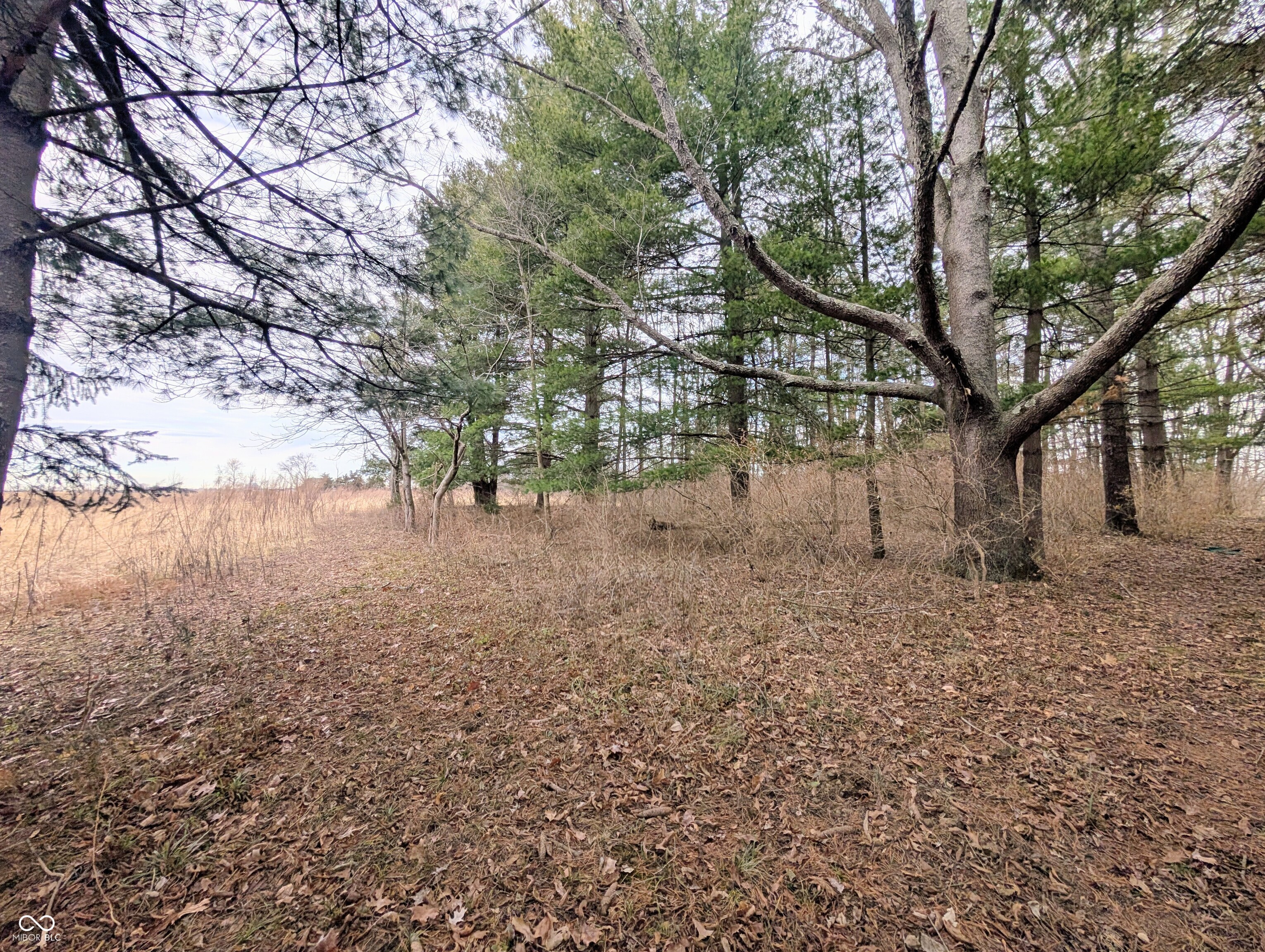5599 Highway 9 Hope, IN 47246 - Photo 68 of 72