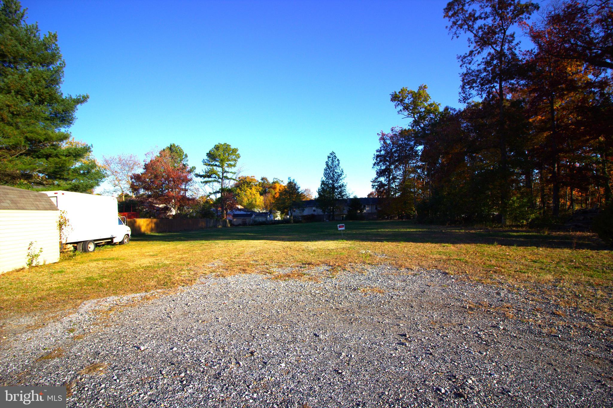 a view of a yard