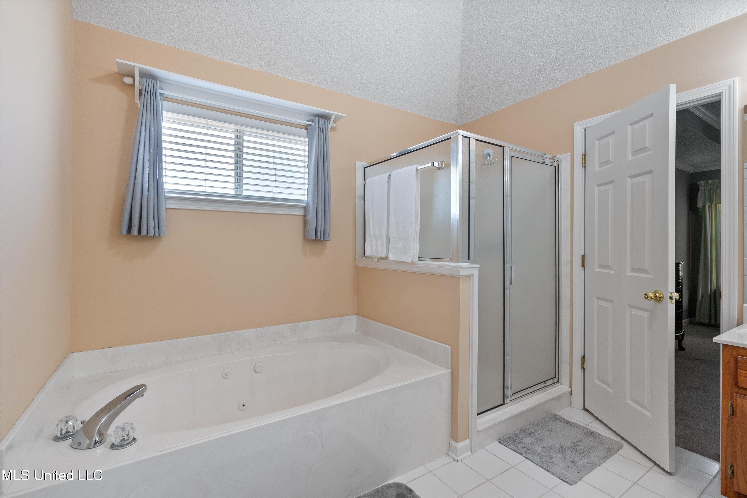 1283 Caleb Lane Coldwater, MS 38618 - Photo 27 of 39 Primary