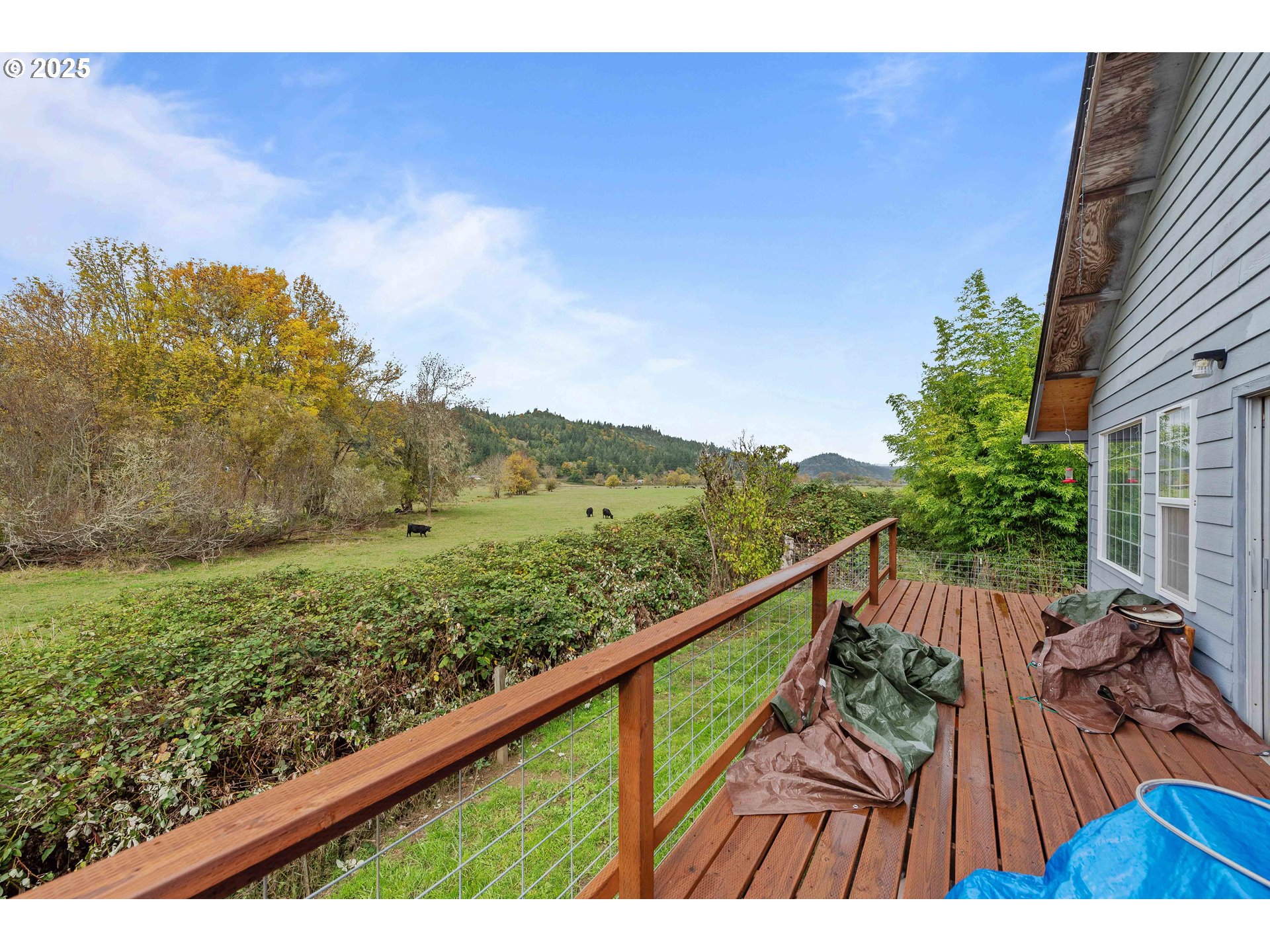 54124 Old Broadbent Road Myrtle Point, OR 97458 - Photo 27 of 42