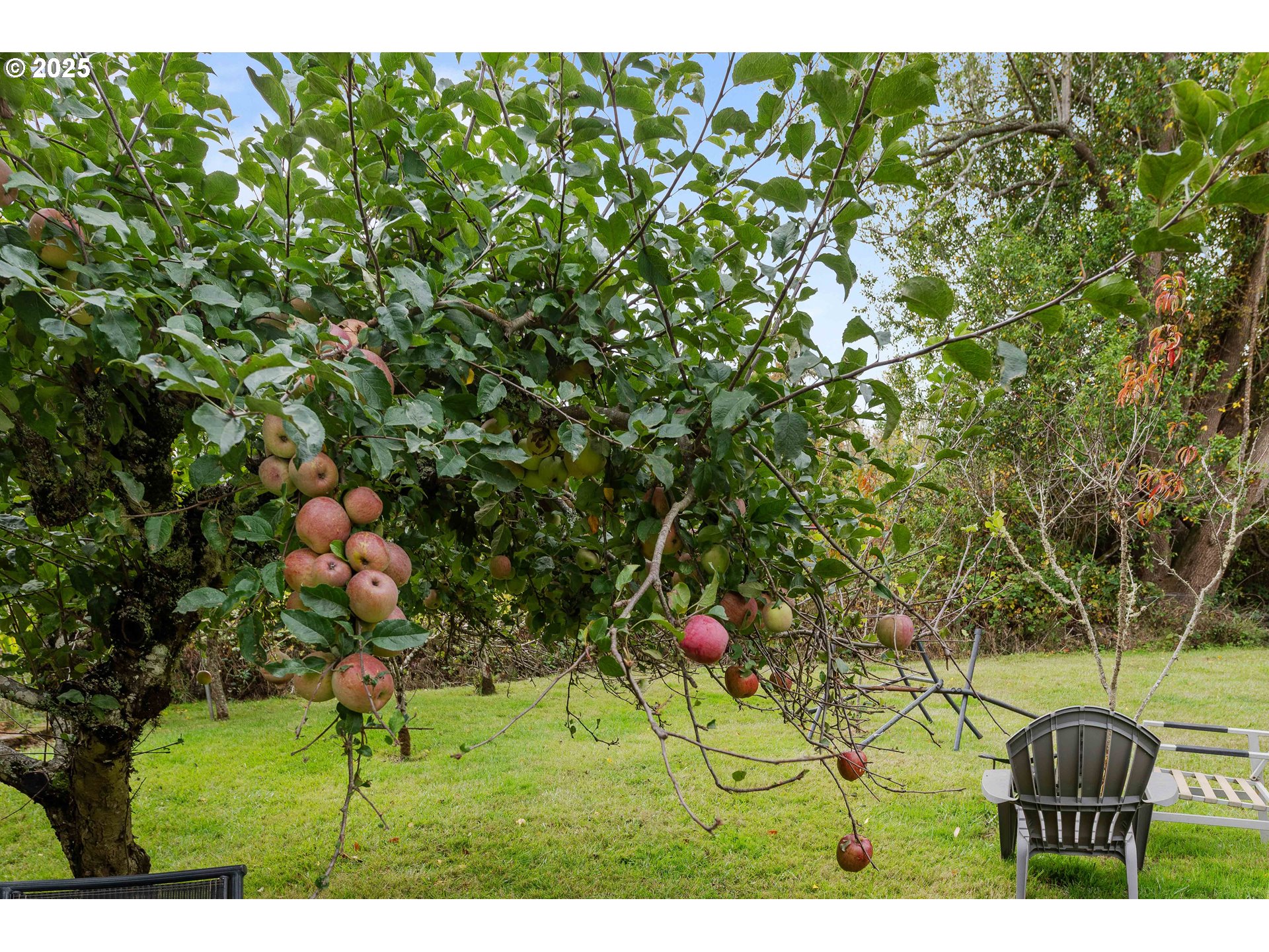 54124 Old Broadbent Road Myrtle Point, OR 97458 - Photo 32 of 42