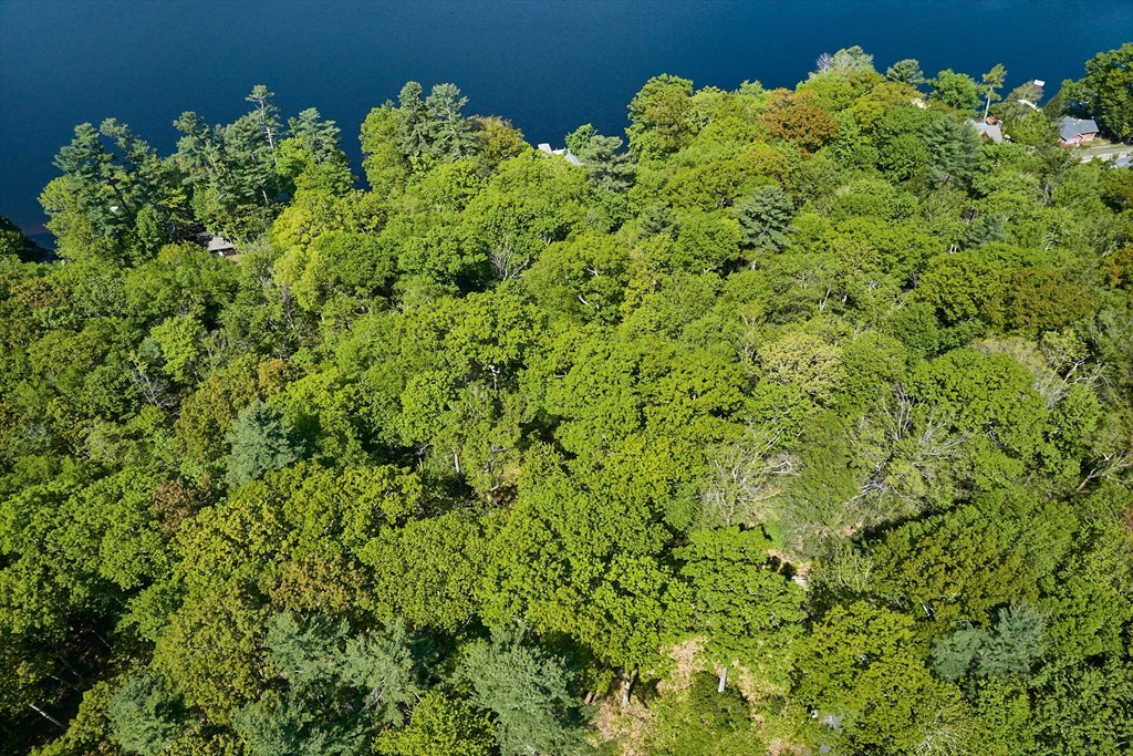 Lot 31 Wendell Road Shutesbury, MA 01072 - Photo 4 of 13 a view of a bunch of flowers