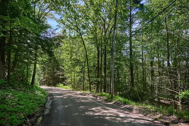 a view of a road with plants and a trees