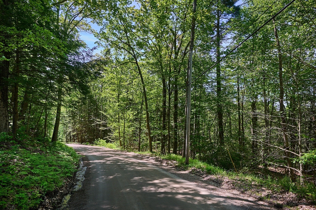 Lot 31 Wendell Road Shutesbury, MA 01072 - Photo 5 of 13 a view of a street with a trees