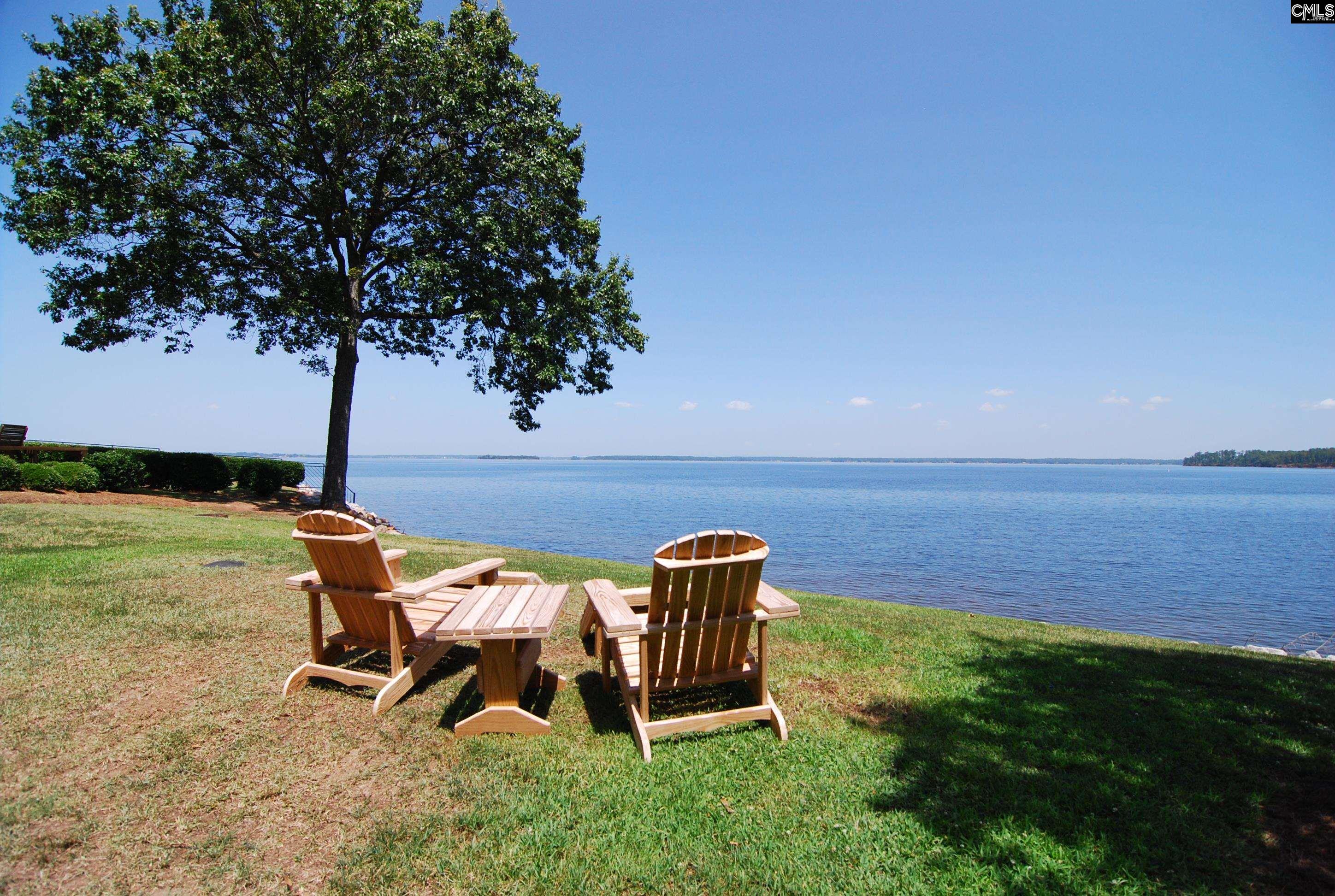 1441 Old Chapin Road, Unit 232 Lexington, SC 29072 - Photo 41 of 61