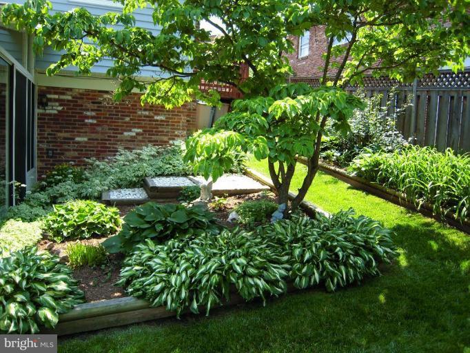 2715 Woodedge Road Silver Spring, MD 20906 - Photo 22 of 22 a view of a yard with plants and large trees