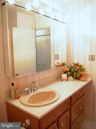 2715 Woodedge Road Silver Spring, MD 20906 - Photo 10 of 22 a bathroom with a sink and a mirror