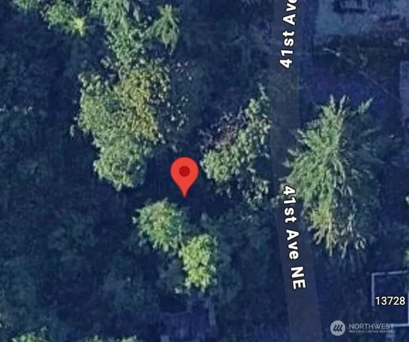 a view of a trees in a backyard