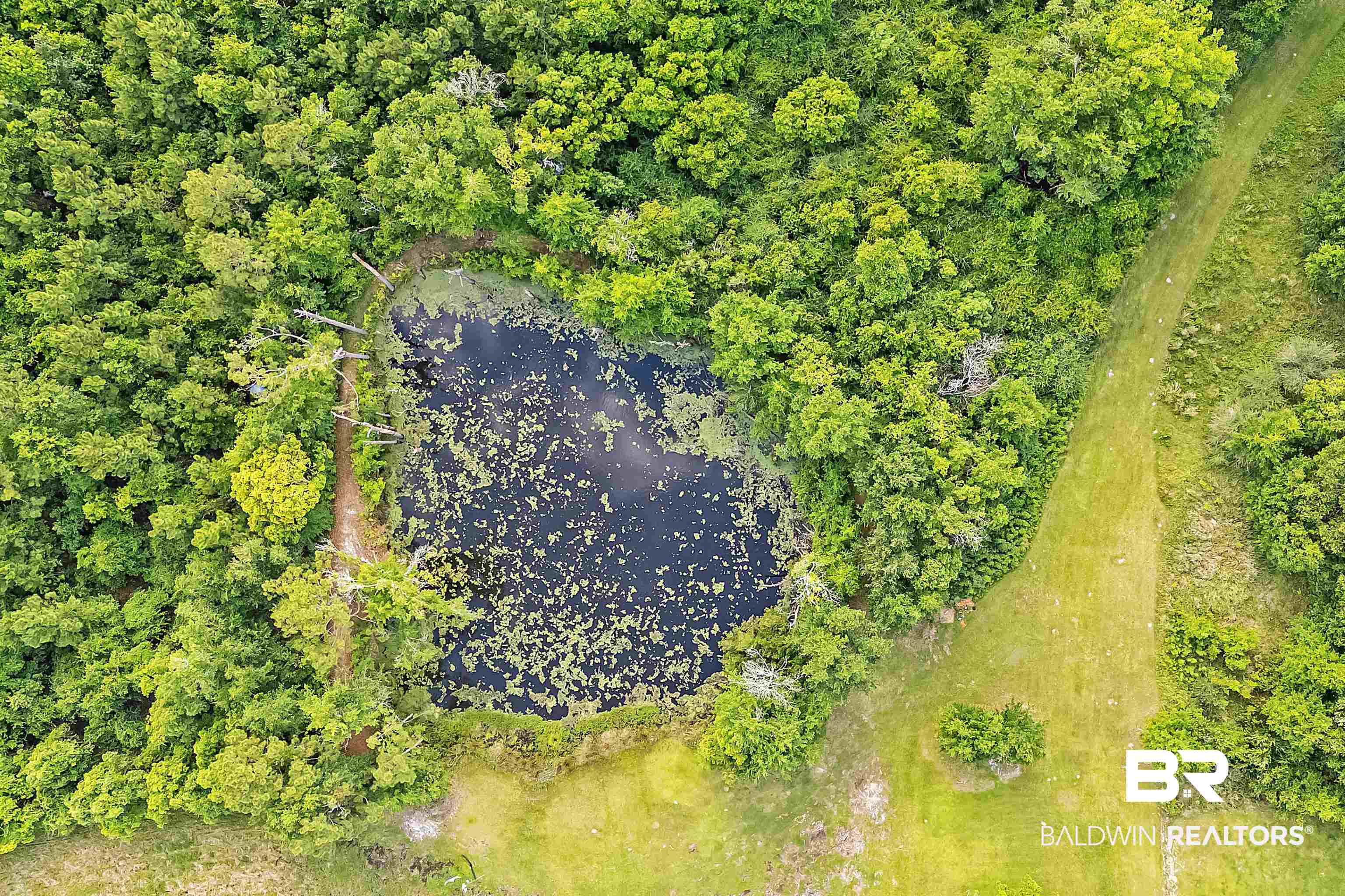 13827 County Road 83 Elberta, AL 36530 - Photo 34 of 38 Aerial view