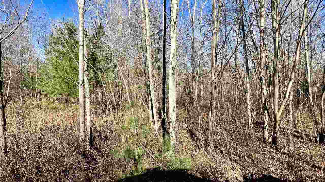 5841 Wendt Road Hope, MI 48628 - Photo 24 of 49 Gallery Image 24