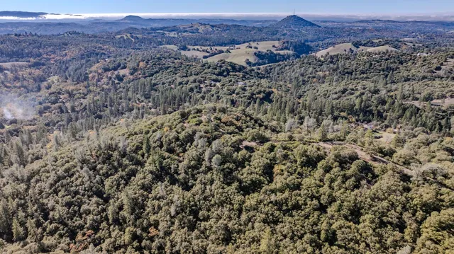 a view of a city with lush green forest