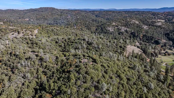 a view of a forest with a mountain in the background