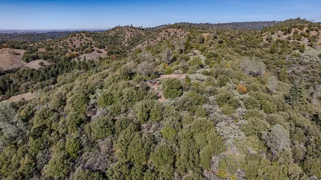 an aerial view of mountain and tree