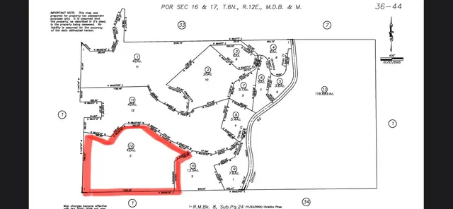 a view of a forest with a tree