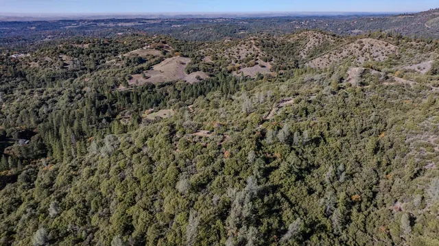 an aerial view of residential house and tree