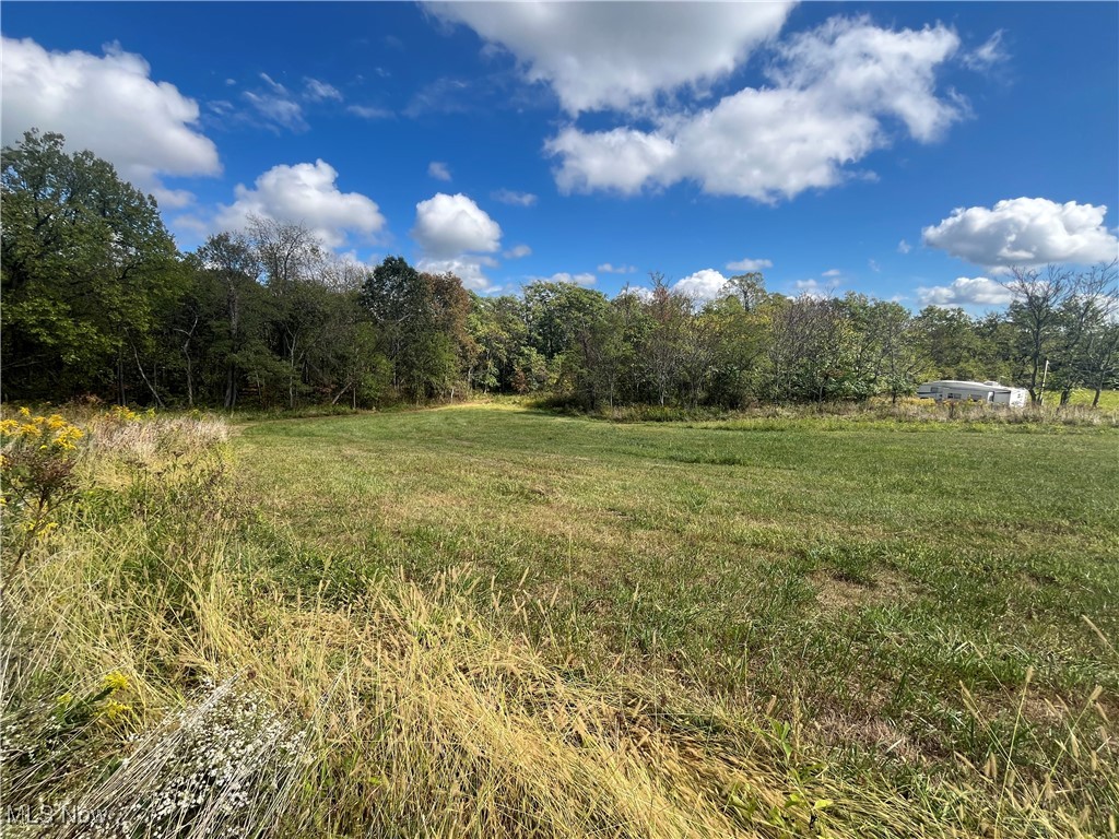71330 Old Twenty One Road Kimbolton, OH 43749 - Photo 10 of 49