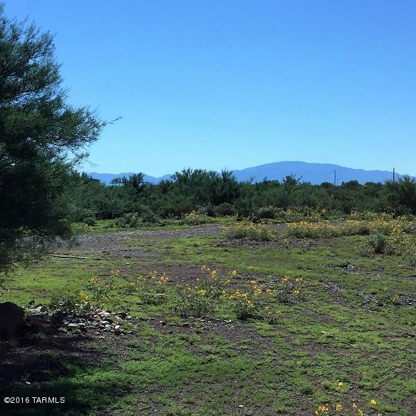 22101 South Branch Road Tucson, AZ 85739 - Photo 1 of 4 a view of an outdoor space with green field and trees