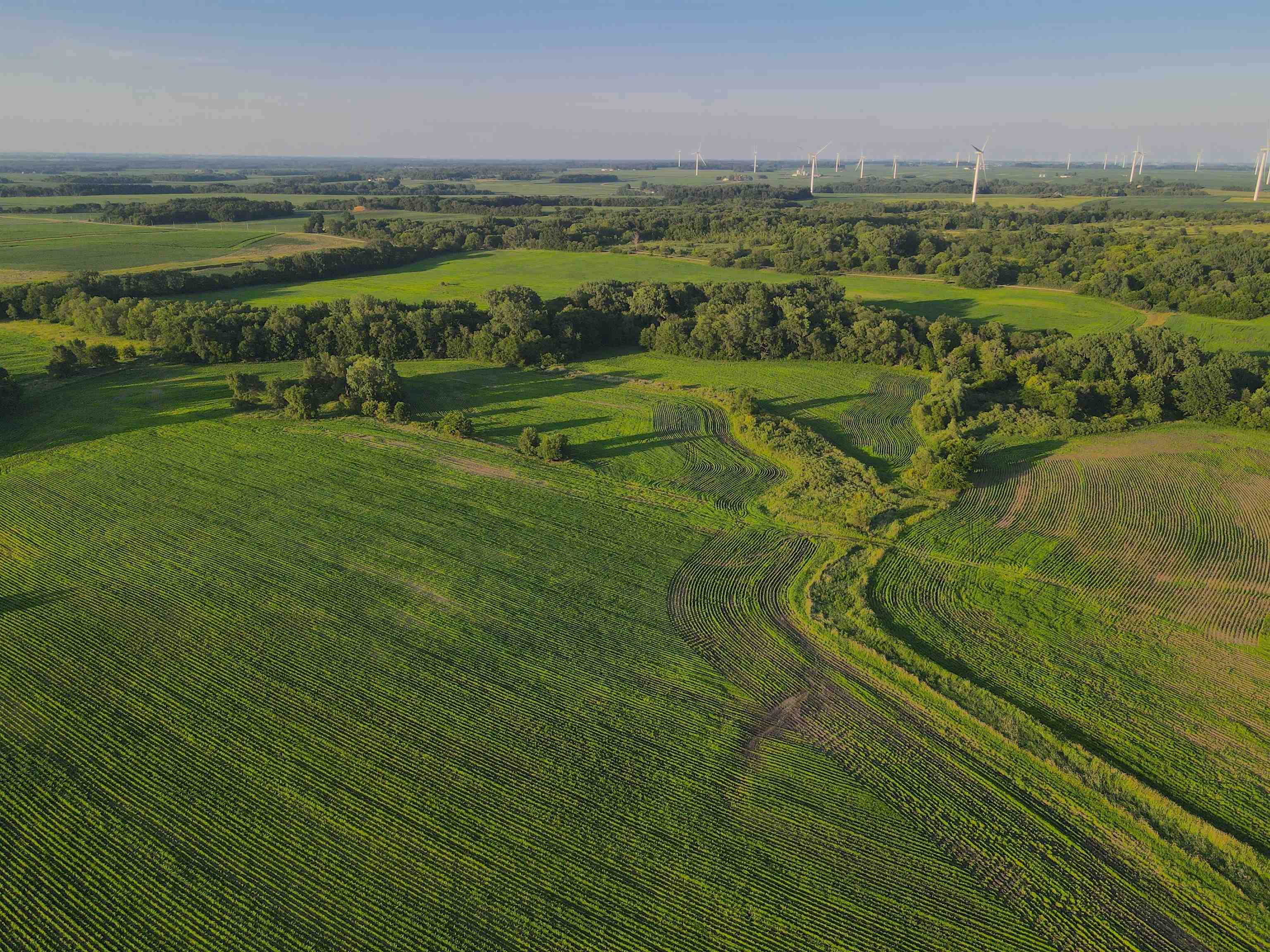 0 Todd Road Amboy, IL 61310 - Photo 10 of 58