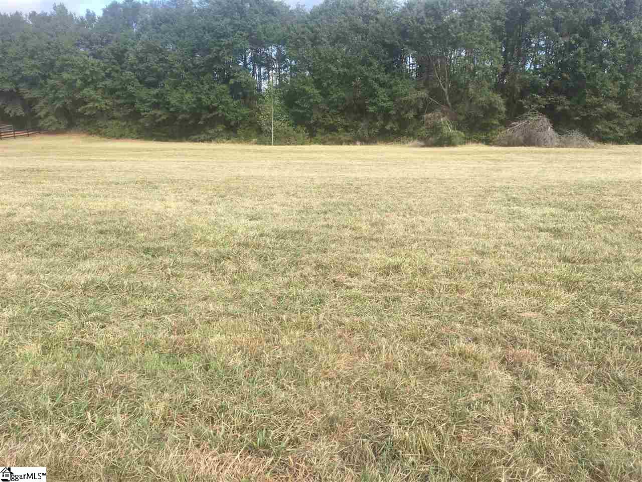 142 Hunter Hack Trail Campobello, SC 29322 - Photo 3 of 14 Gallery Image 3