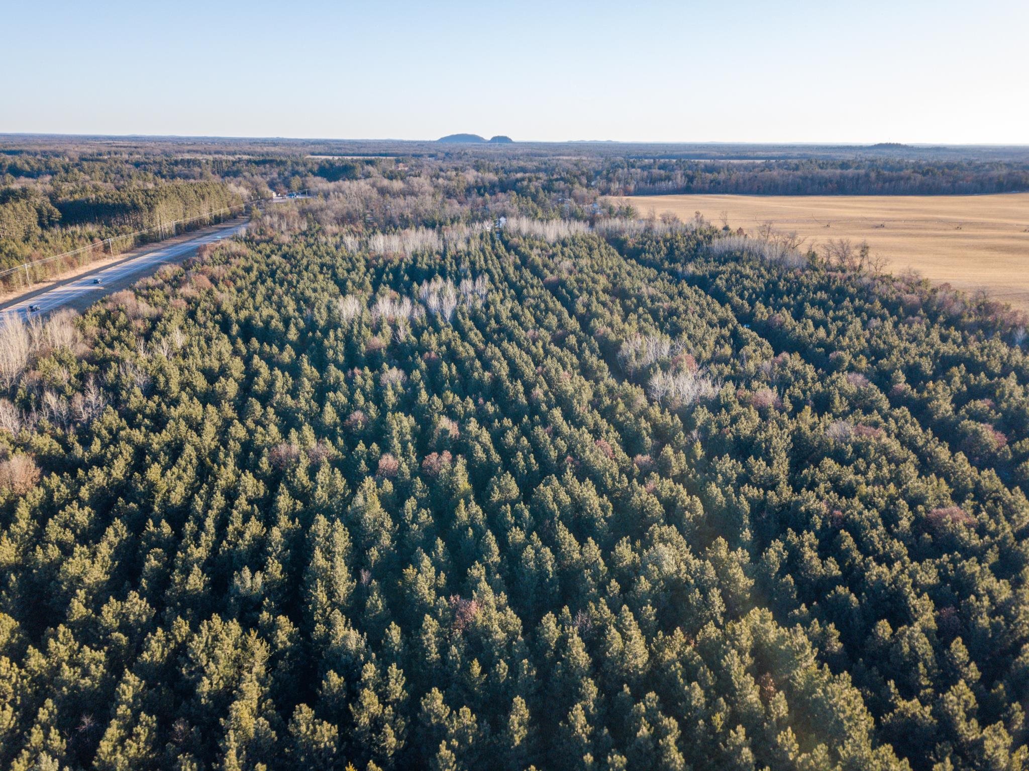 Lot 2 11th Friendship, WI 53934 - Photo 1 of 26