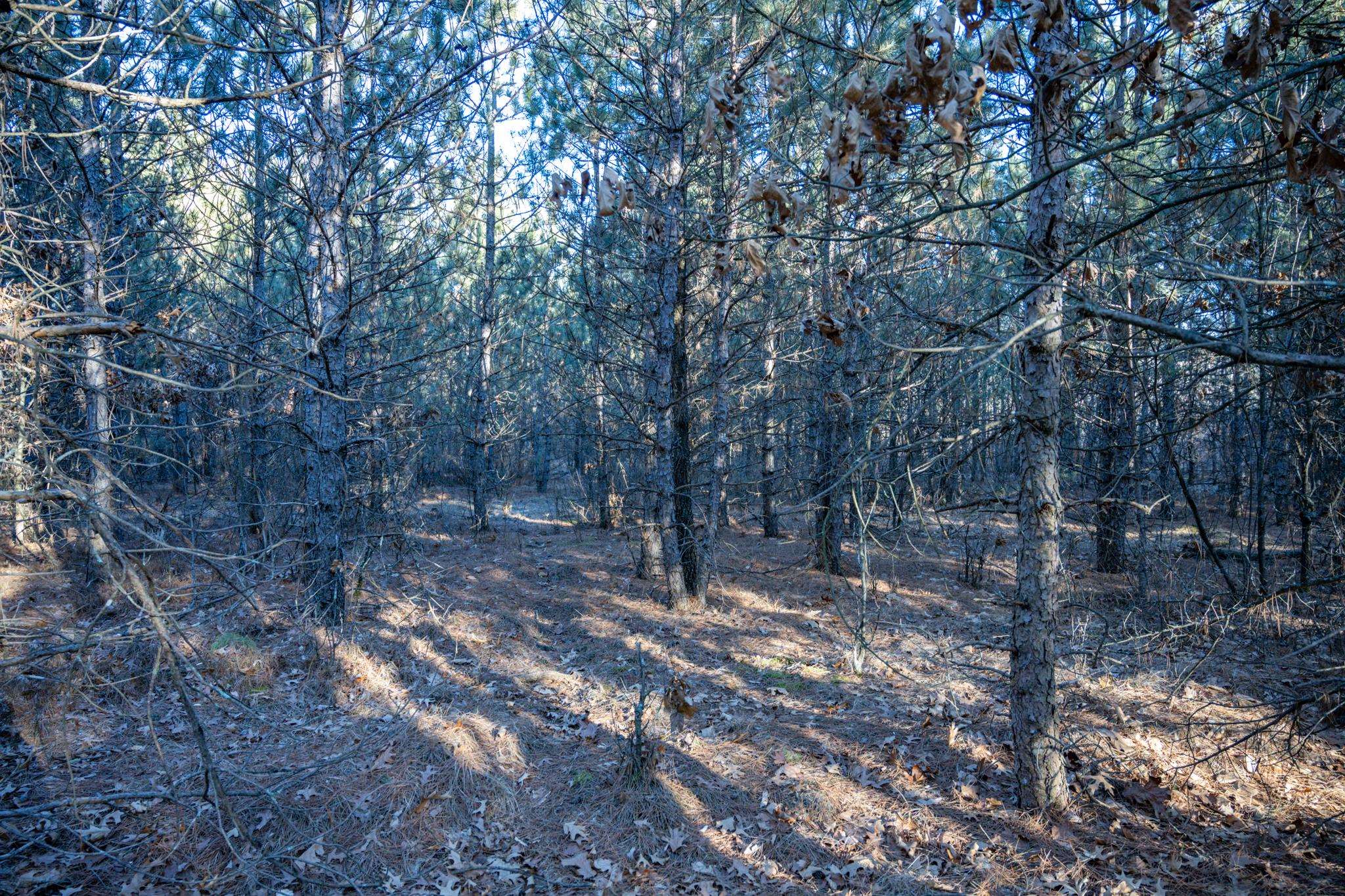 Lot 2 11th Friendship, WI 53934 - Photo 13 of 26