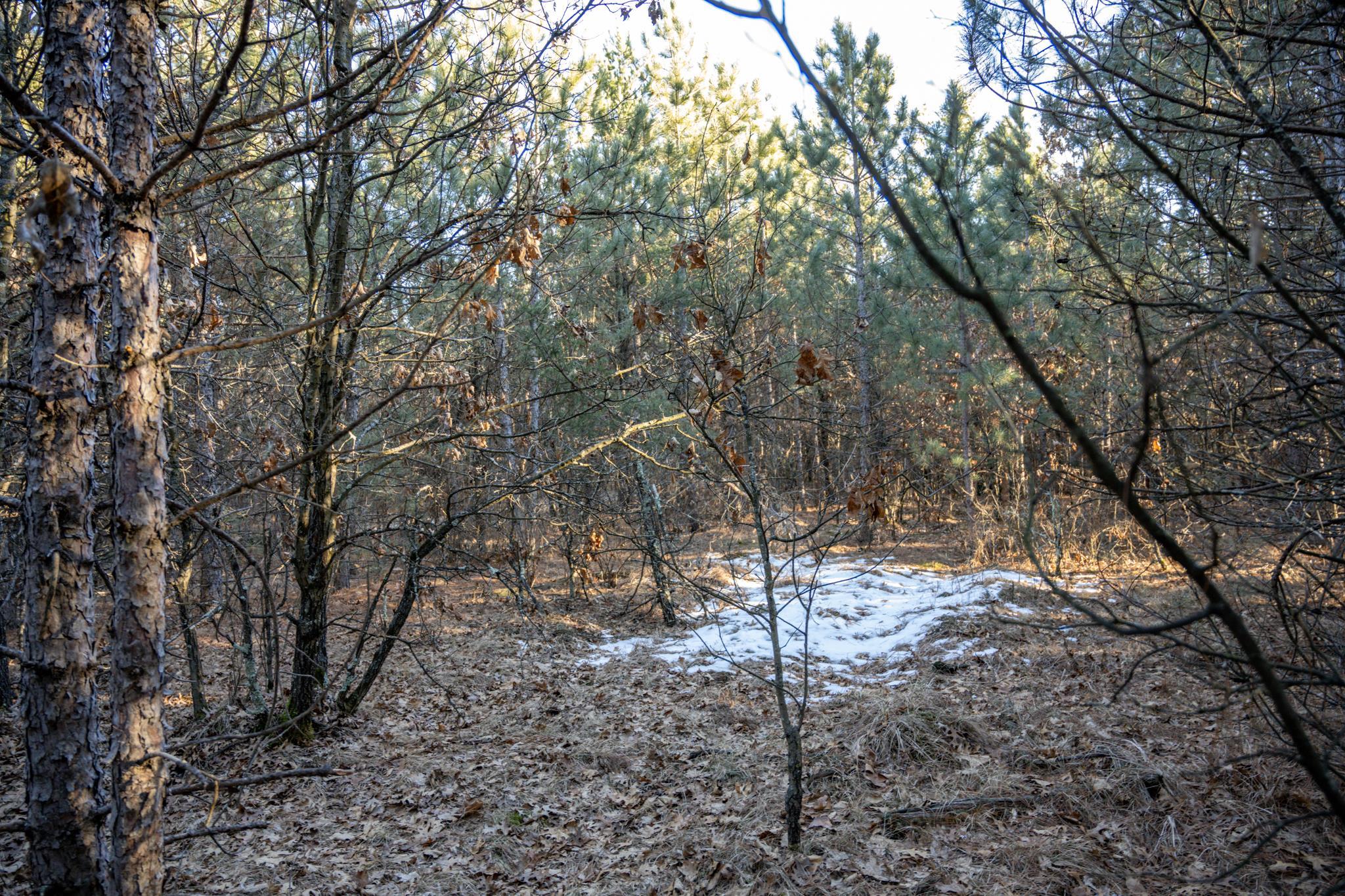 Lot 2 11th Friendship, WI 53934 - Photo 17 of 26