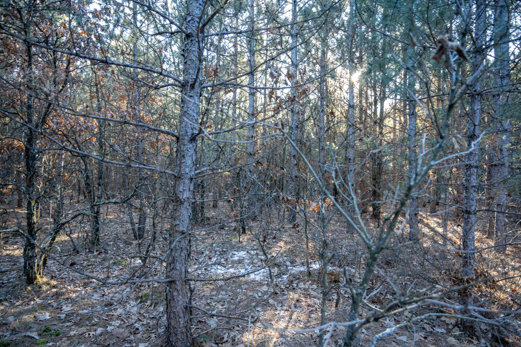 Lot 2 11th Friendship, WI 53934 - Photo 19 of 26