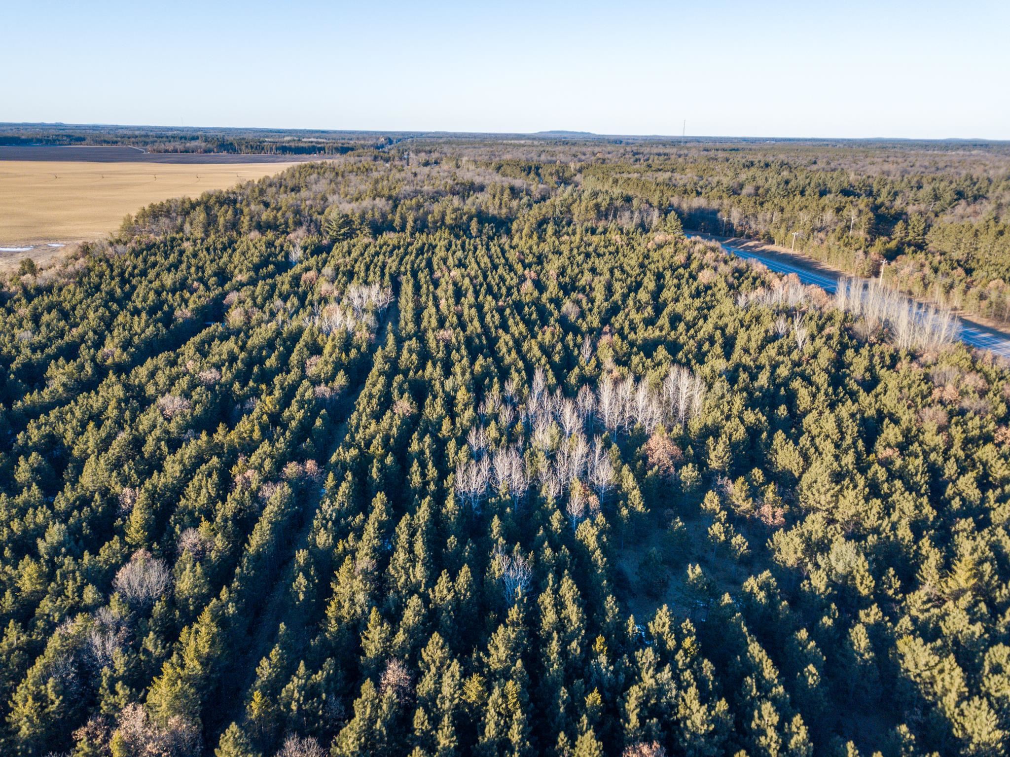 Lot 2 11th Friendship, WI 53934 - Photo 2 of 26