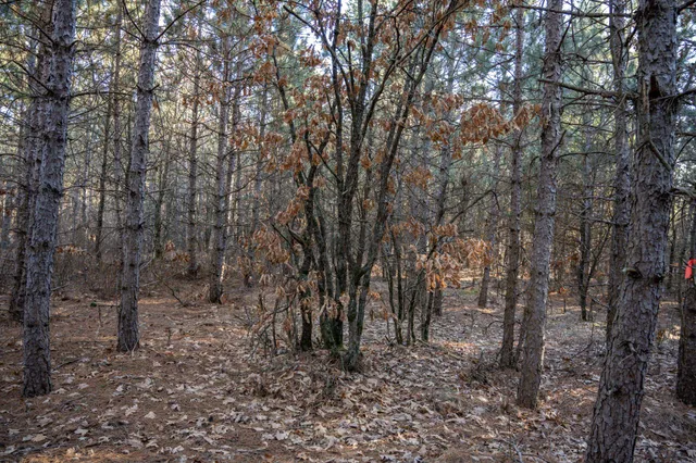 $78,000 | Lot 2 11th, Friendship, WI 53934