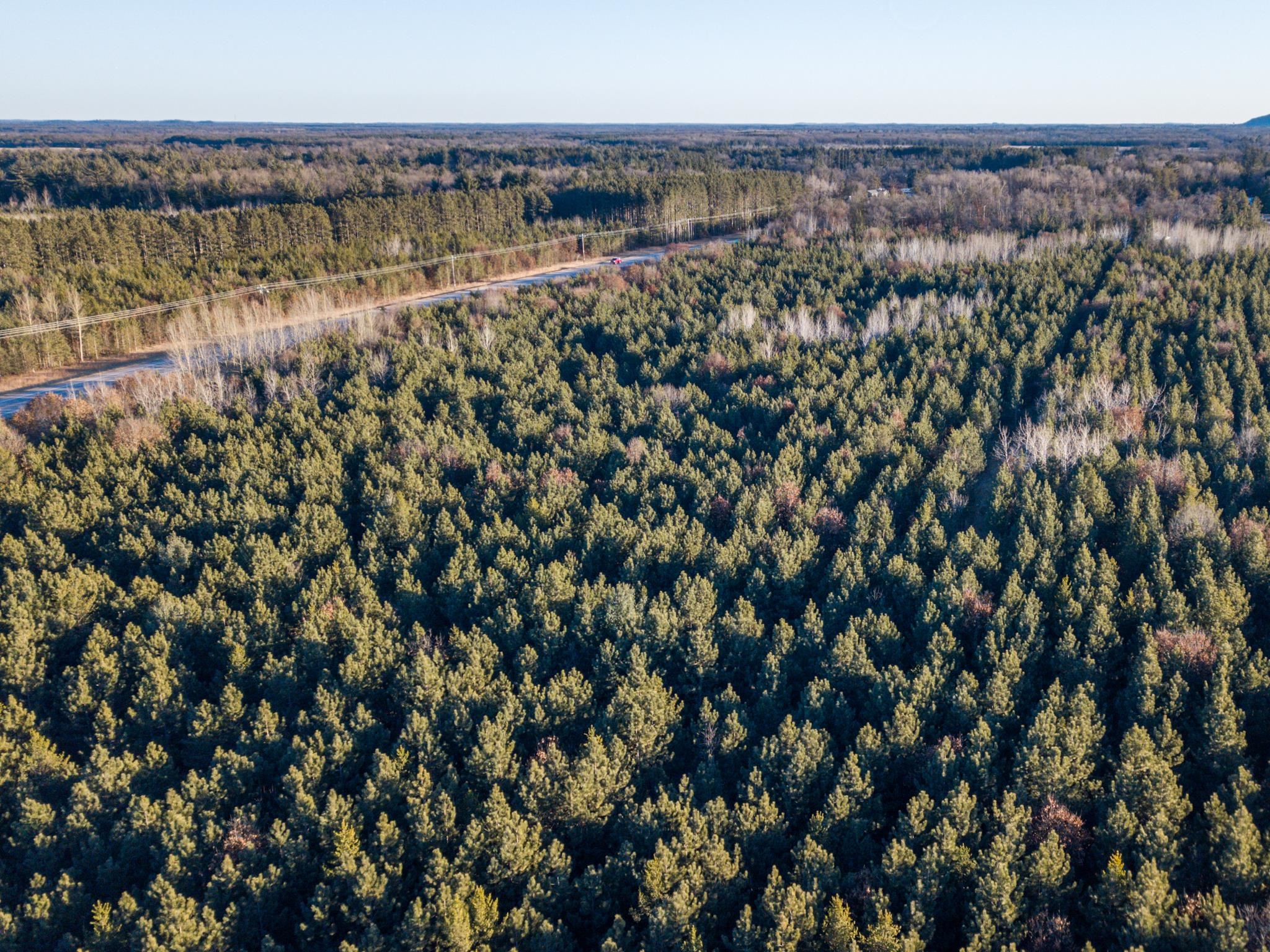 Lot 2 11th Friendship, WI 53934 - Photo 3 of 26