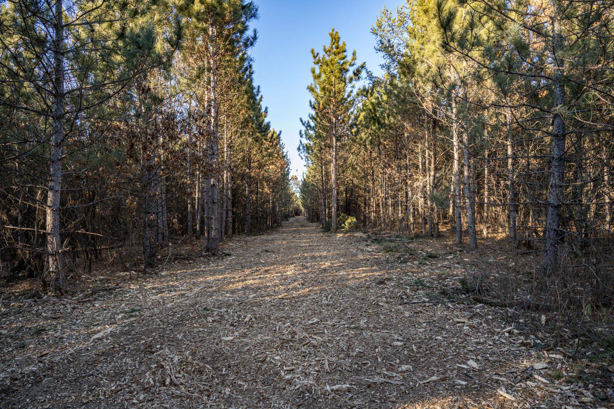 Lot 2 11th Friendship, WI 53934 - Photo 4 of 26