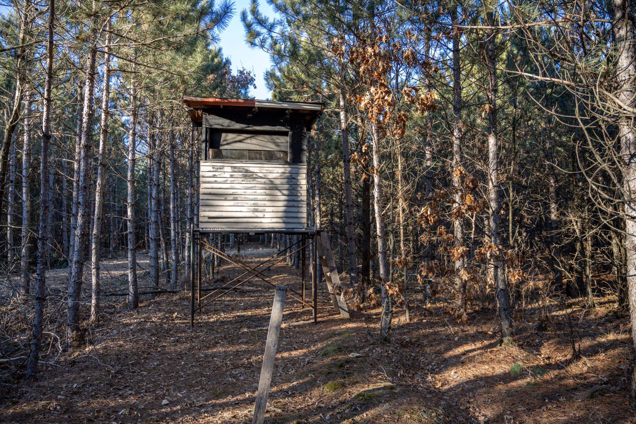 Lot 2 11th Friendship, WI 53934 - Photo 6 of 26