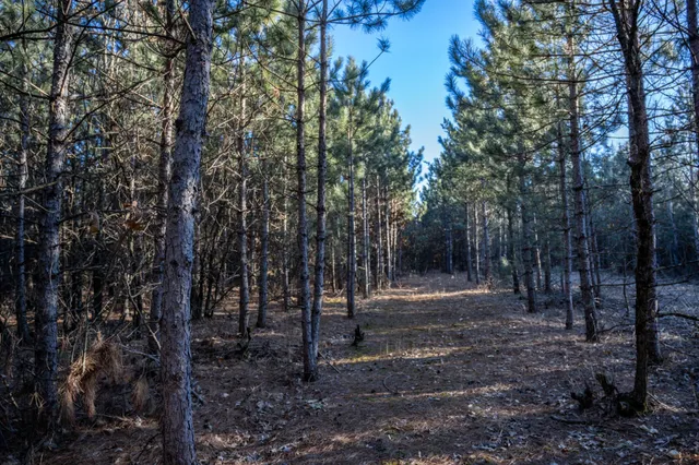 $78,000 | Lot 2 11th, Friendship, WI 53934