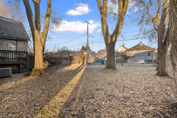 a view of a yard with large tree