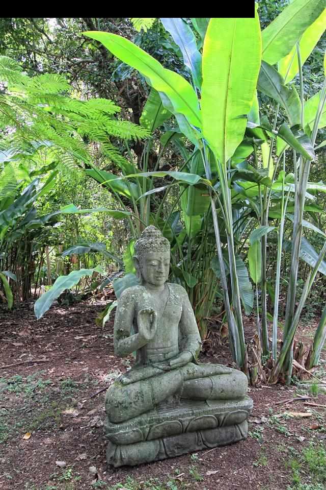 285 Pauwela Road Haiku, HI 96708 - Photo 29 of 29 Gallery Image 29