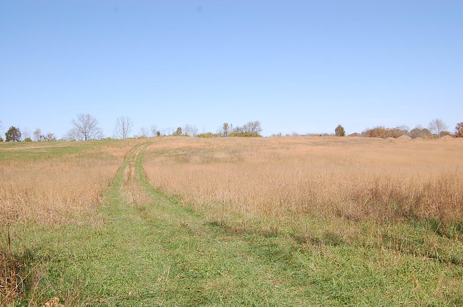 6 Chrisman Mill Road Nicholasville, KY 40356 - Photo 1 of 2 DSC_0536