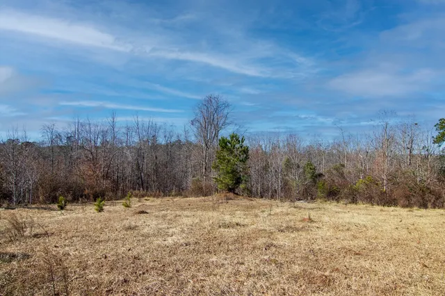 a view of a lake with lawn chairs and plants
