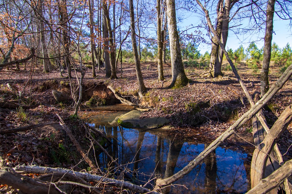 0 Chestnut Grove Road Shiloh, GA 31826 - Photo 22 of 26