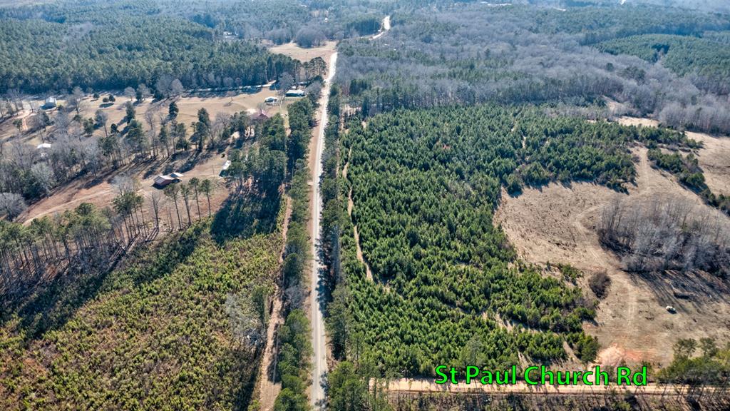 0 Chestnut Grove Road Shiloh, GA 31826 - Photo 27 of 32 a view of a yard with plants