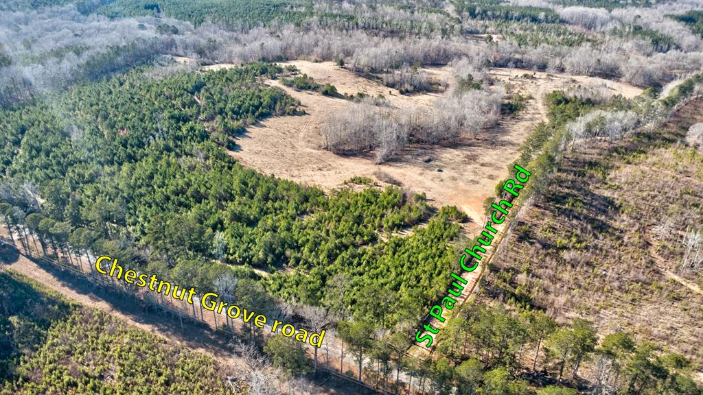 6-0 Chestnut Grove Road Shiloh, GA 31826 - Photo 27 of 32 a view of a wooden house with a yard