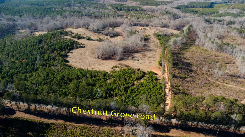 0 Chestnut Grove Road Shiloh, GA 31826 - Photo 29 of 32 a view of outdoor space