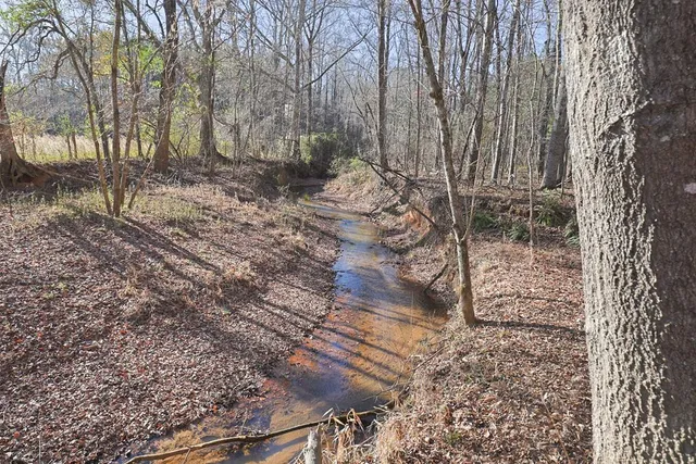 $124,450 | 0 Chestnut Grove Road, Shiloh, GA 31826