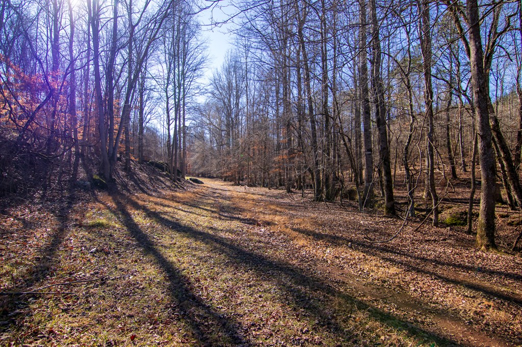 0 Chestnut Grove Road Shiloh, GA 31826 - Photo 8 of 26