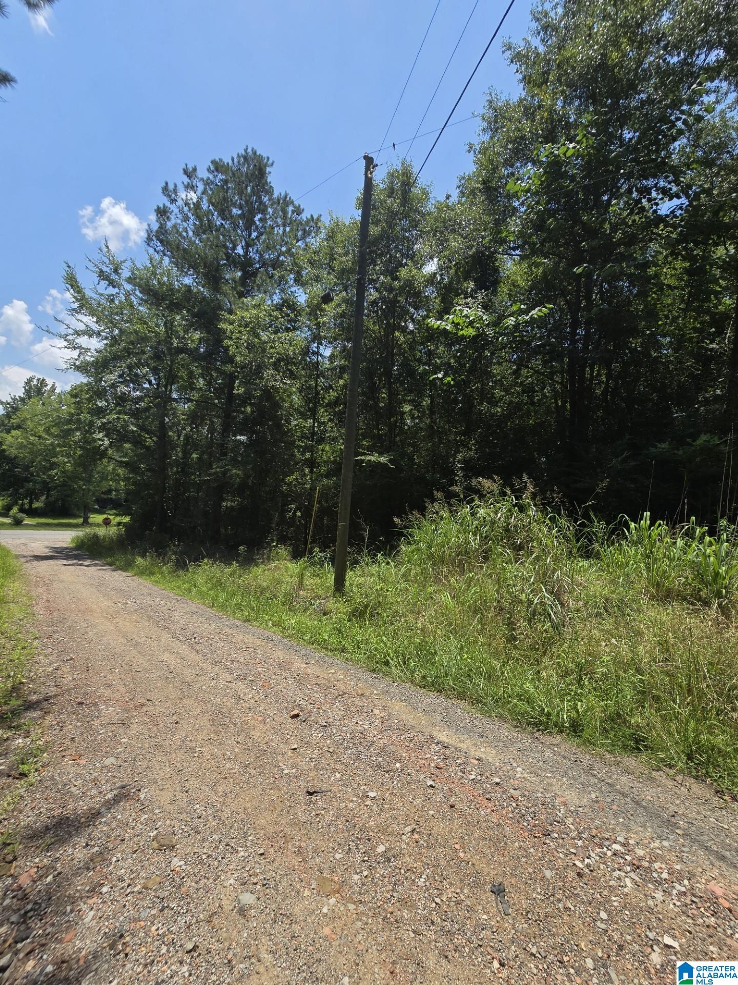 39 Thomas Road Cordova, AL 35550 - Photo 2 of 7