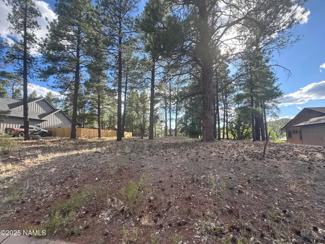 a view of a yard with lots of trees